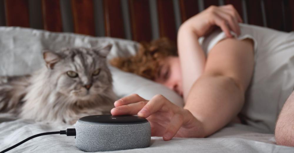 Alexa-Controlled Heaters