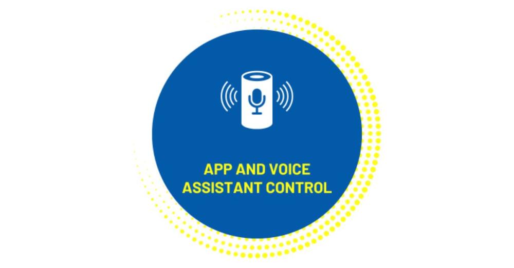App And Voice Assistant Control