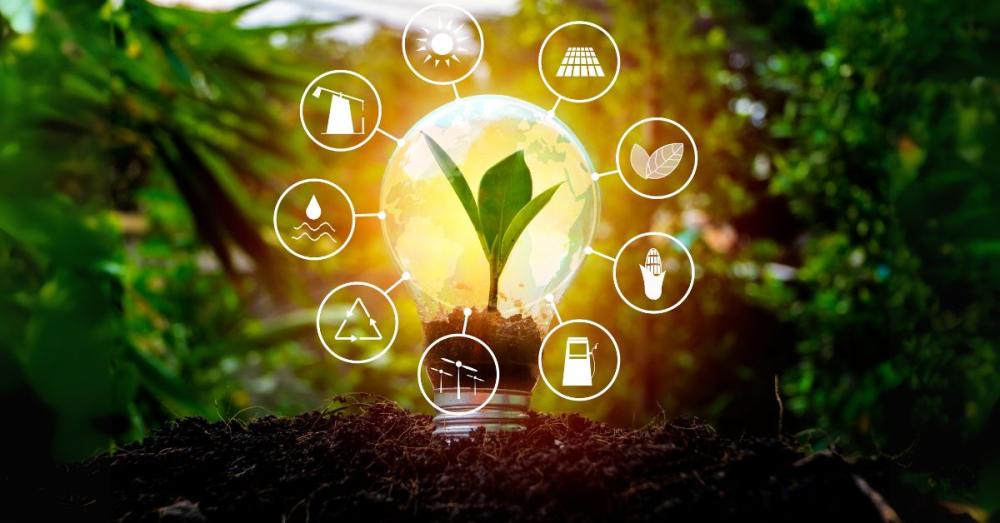 Consider Renewable Energy Sources