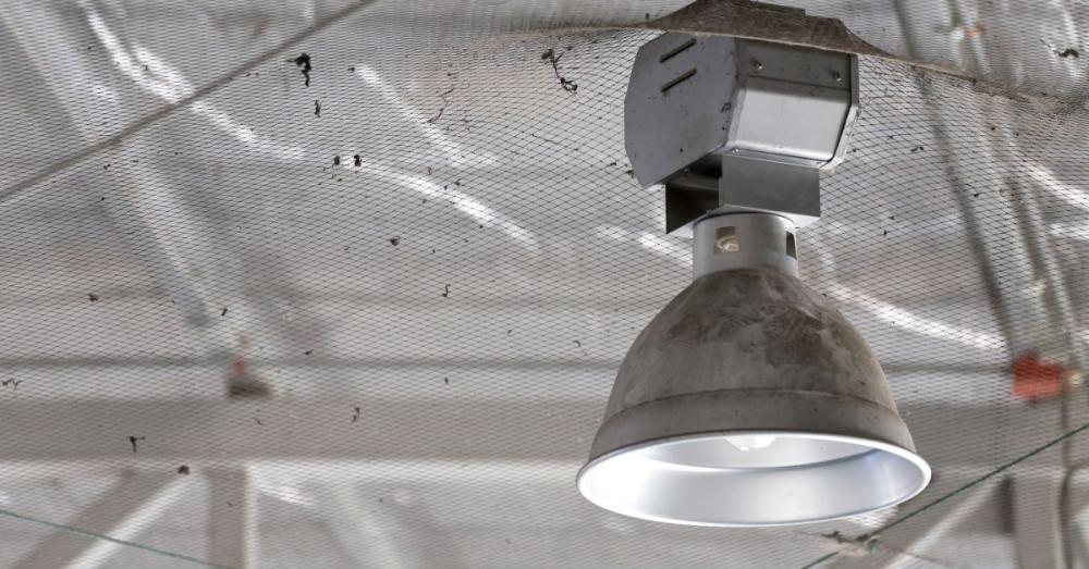 Get the Most from Your Industrial Lighting System