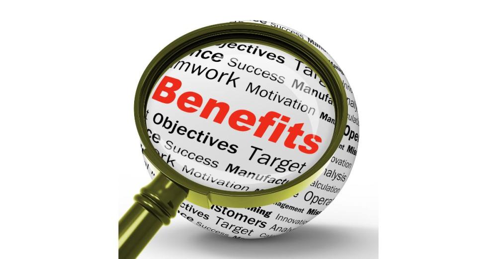 Take Advantage of Government Incentives