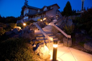 Deter thieves and save money by installing LED lighting in your garden