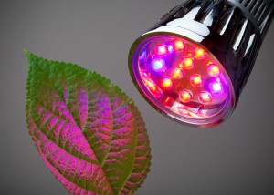 LED lighting development proves commercial applications of the technology