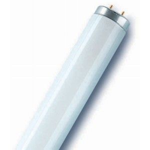 18 Watt T8 Cool White (L18/840) Fluorescent Tube (2FT)