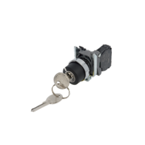 2 Position Key Switch