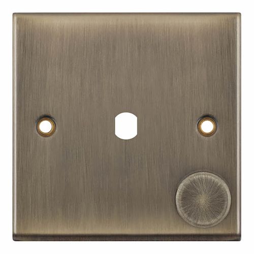 1 Aperture Empty Dimmer Plate with Knob – Antique Brass