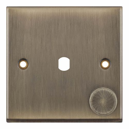 1 Aperture Empty Dimmer Plate with Knob – Antique Brass