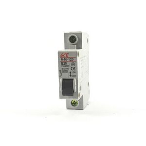 AEDL Single Pole 25 Amp (Type B) MCB