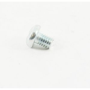 6mm Galvanised Trunking Screws