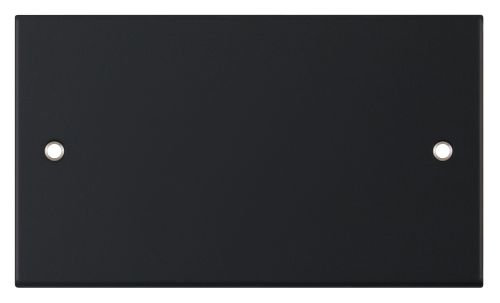 Selectric 2 Gang Blanking Plate Matt Black Black Insert