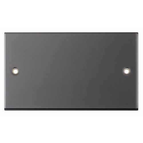 Selectric 2 Gang Blanking Plate Black Nickel