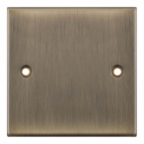 Selectric 1 Gang Blank Plate Antique Brass