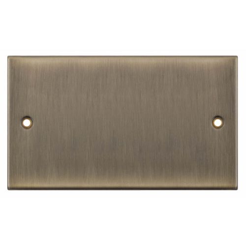 Selectric 2 Gang Blank Plate Antique Brass