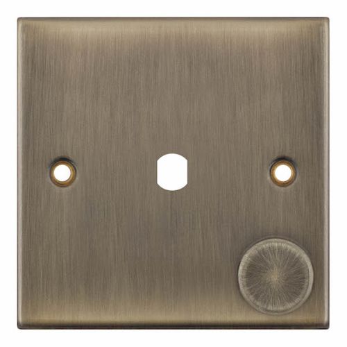 Selectric 1 Aperture Dimmer Empty Plate with Knob Antique Brass
