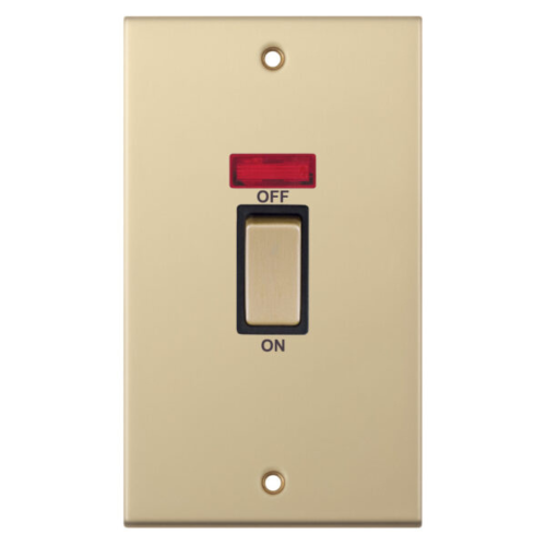 Selectric 45 Amp DP Switch with Neon 2 Gang Plate Satin Brass