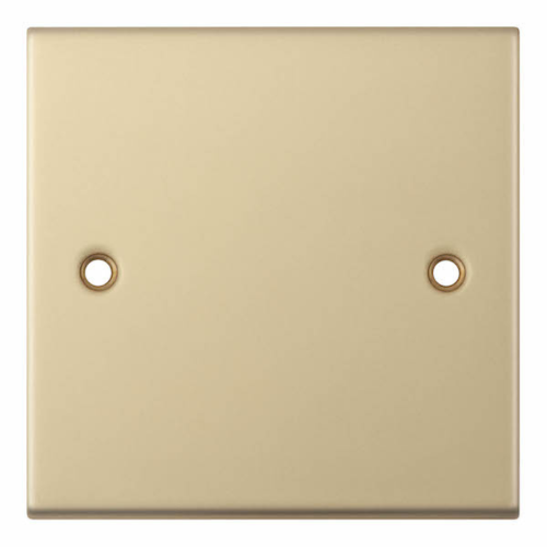 Selectric 1 Gang Blanking Plate Satin Brass