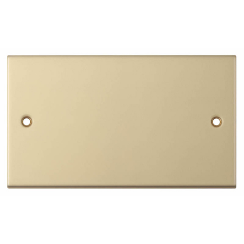 Selectric 2 Gang Blanking Plate Satin Brass