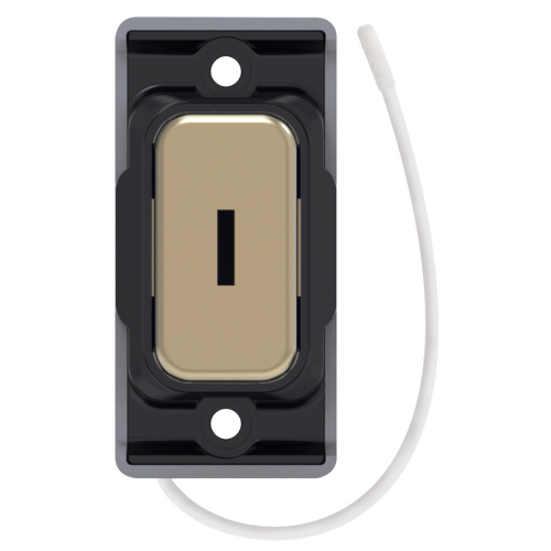 Selectric Push On / Off Emergency Key Switch Satin Brass w/ Black Insert
