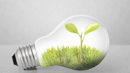 Energy Saving Light Bulbs 